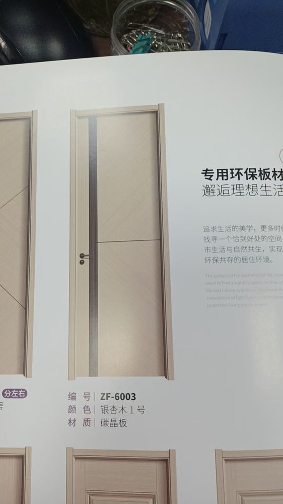 ZF-6003 door